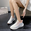 Zapatillas Femeninas Esportivo Zanio